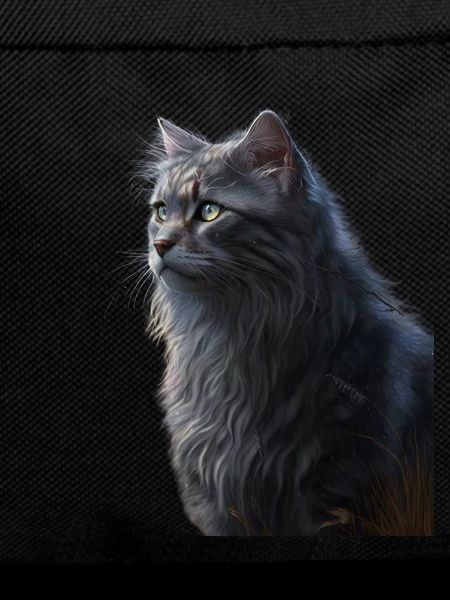 Warrior Cats - Graystripe