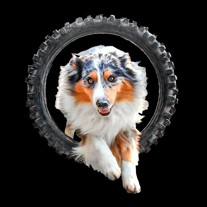 Australian Shepherd Agility
