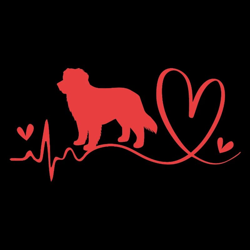 Bernese Mountain Dog