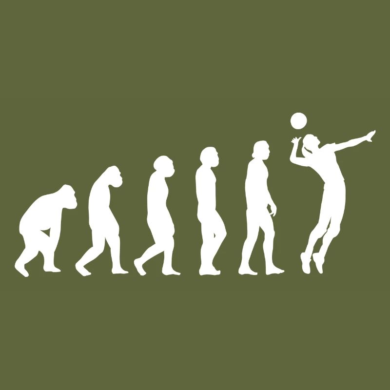 Volley-ball Volleyballs Beach volley Evolution