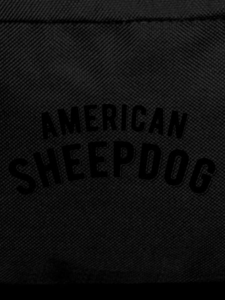 American Sheepdog