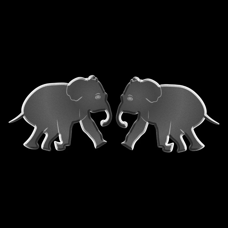 two elephant animals animals