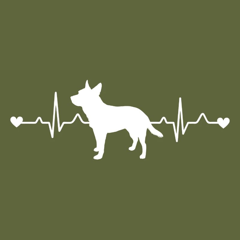 Australian Cattle Herzschlag Puls EKG