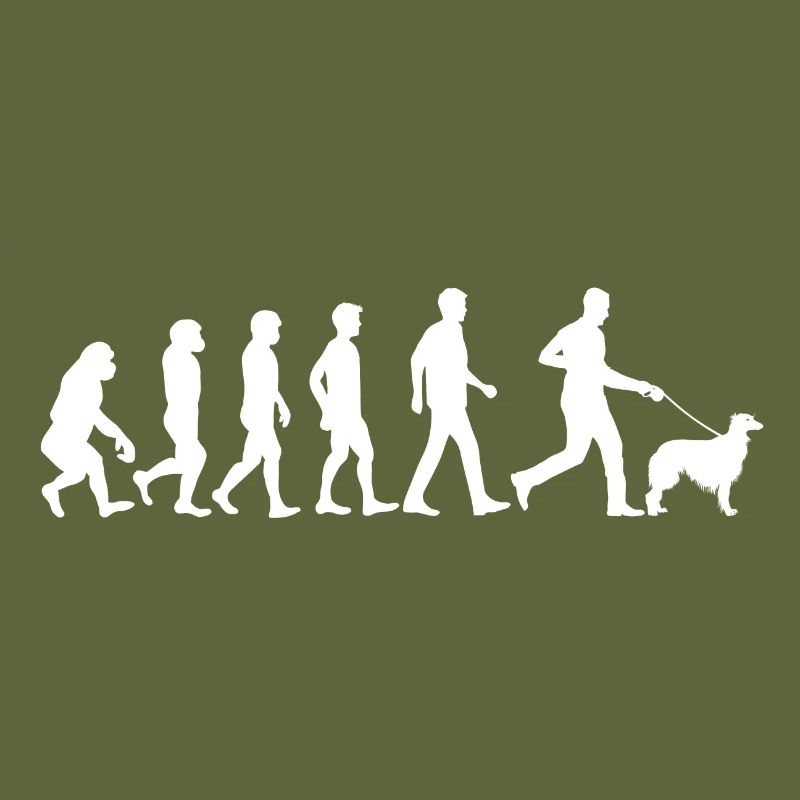 Silken Windhound Dog Evolution Dog Owner