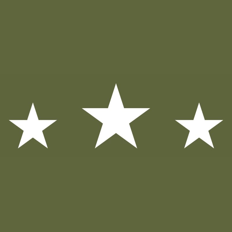 3 stars