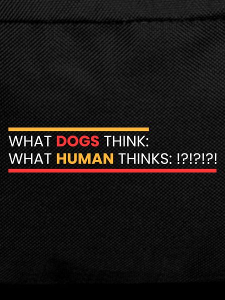 what dogs think: