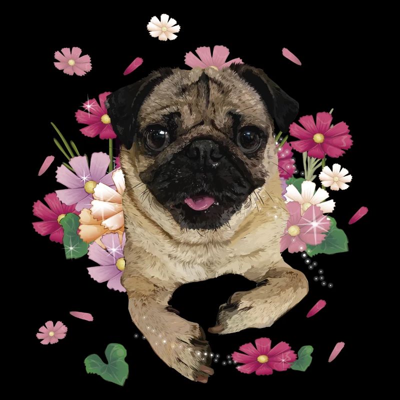 Pug