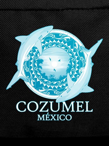 Caribbean reef shark Cozumel Mexico