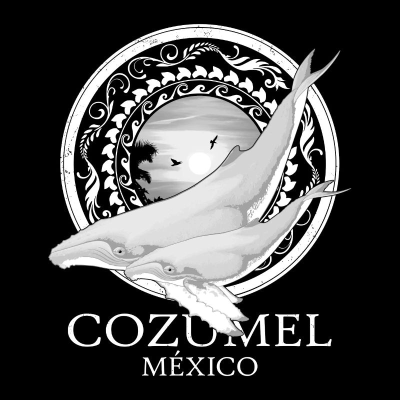 Humpback Whales Cozumel Mexico
