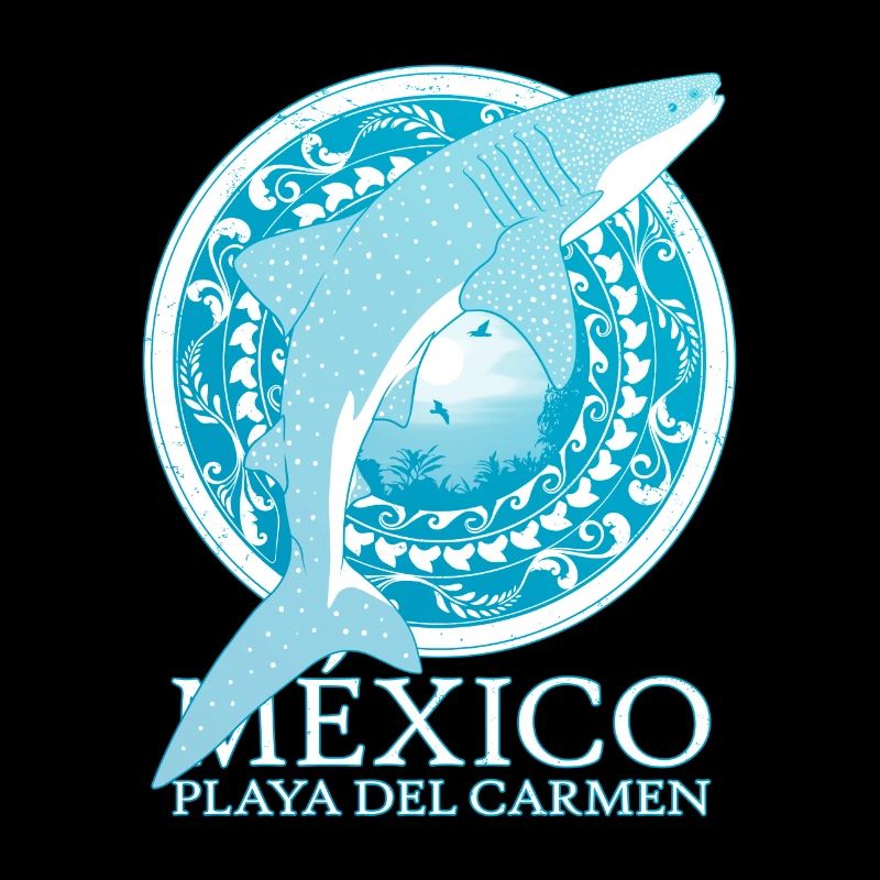 Requin baleine de Playa del Carmen