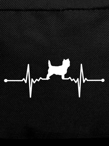 Cairn Terrier Dog - Cairn Terrier