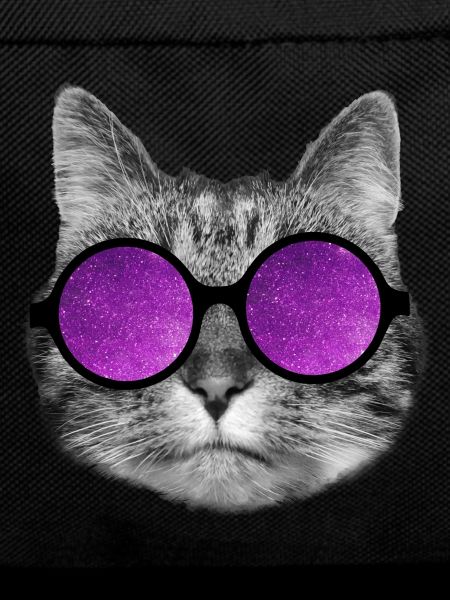 Chat de l’espace