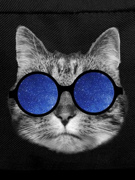 Galaxy cat