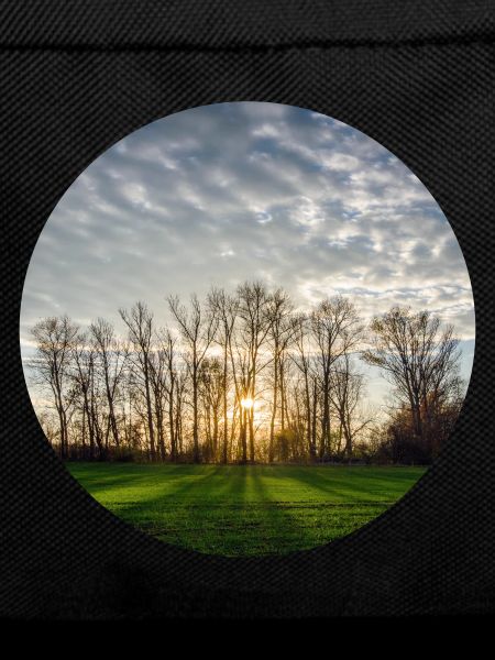 Sunlight in spring
