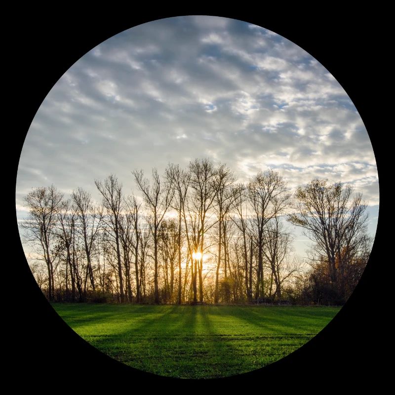 Sonnenlicht im Frühling