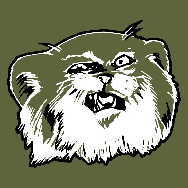 Pallaskatze Manul Gesicht