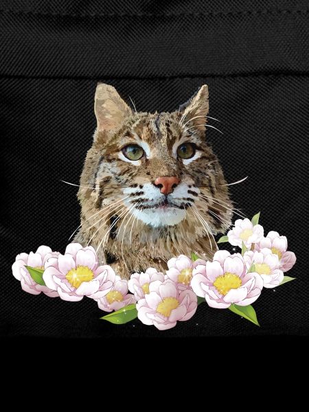 Lynx