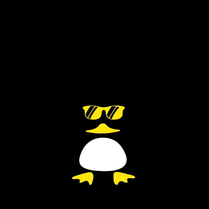 Canard de plage