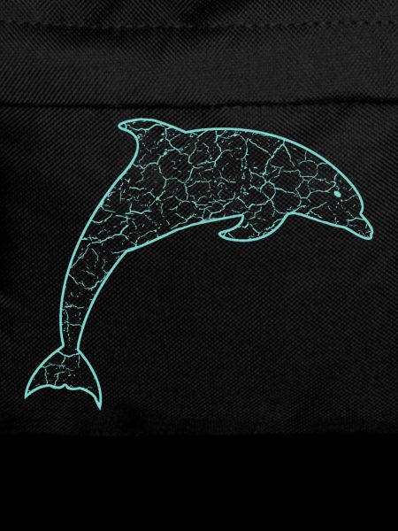 Delfin, Dolphin