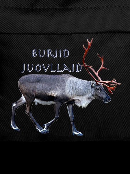 Buriid Juovllaid