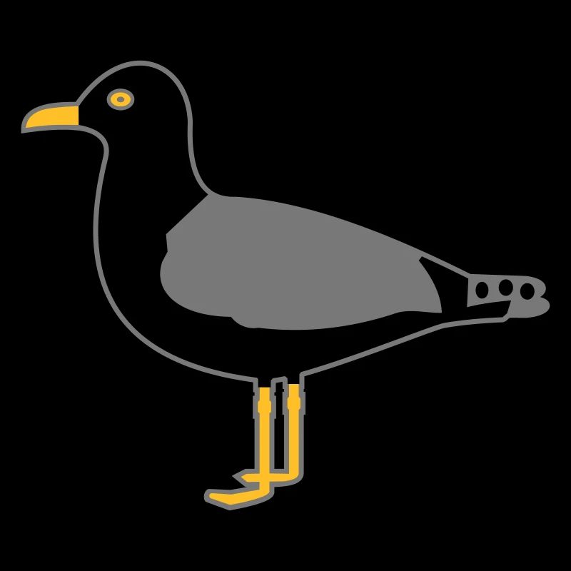 herring gull