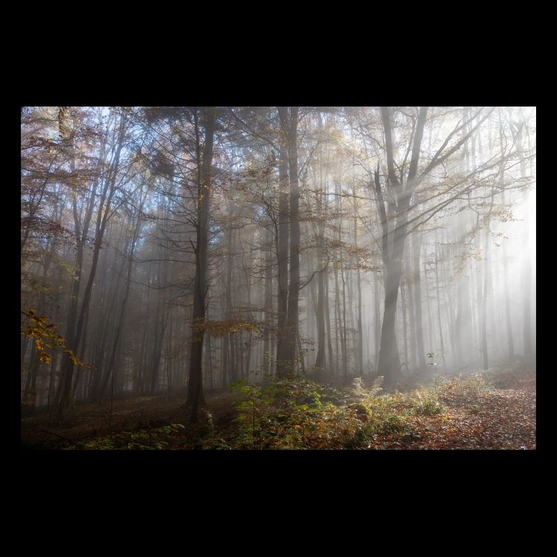Autumn mood