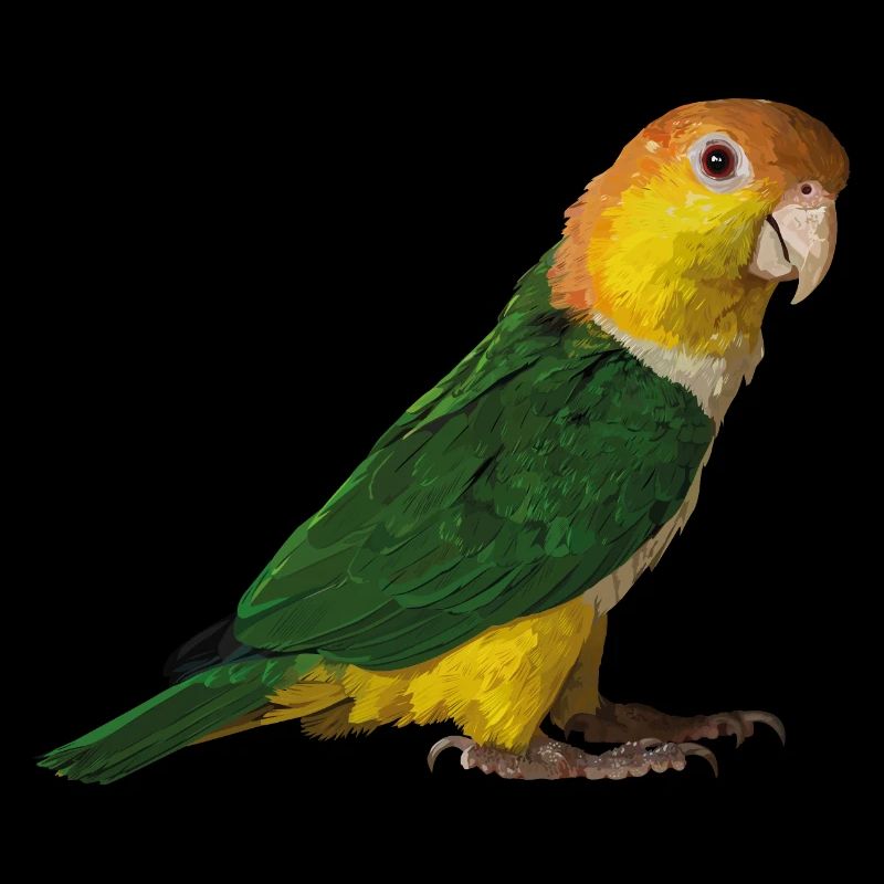 caique