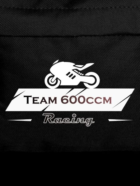 Team 600cc Motorcycle Racing