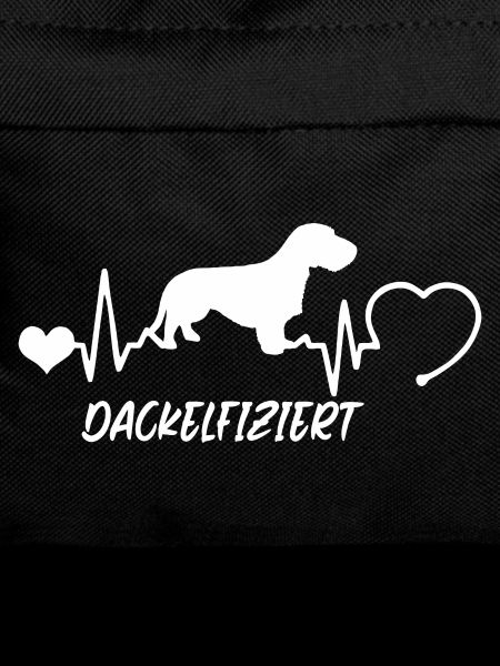 Rauhaardackel mit Herzschlag