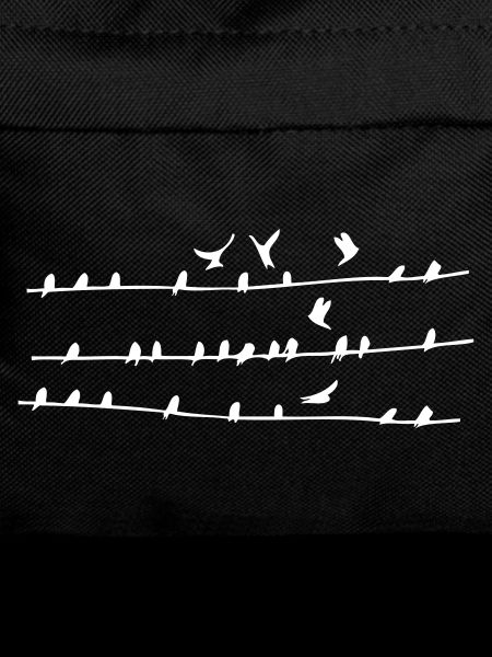 Birds on electric power lines
