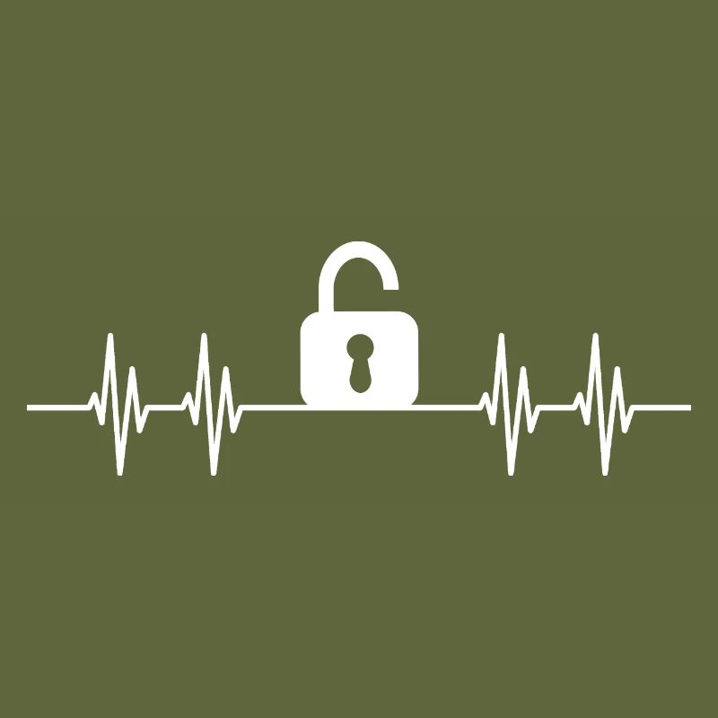 Lock Picker Lockpicking