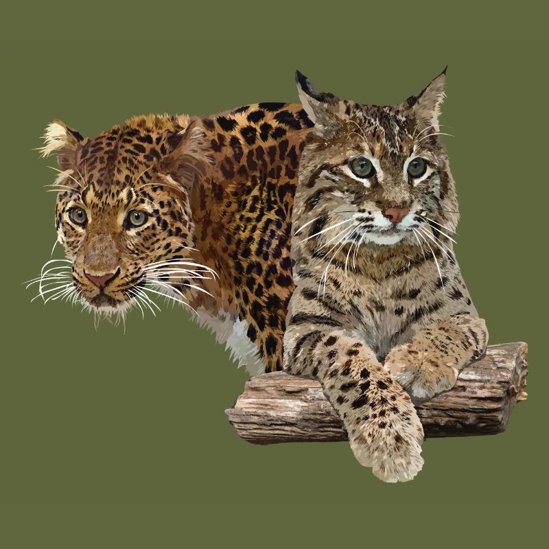 Leopard und Luchs
