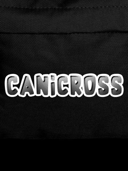 Canicross dog