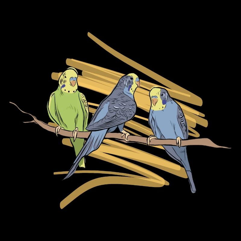 Budgerigar drawing