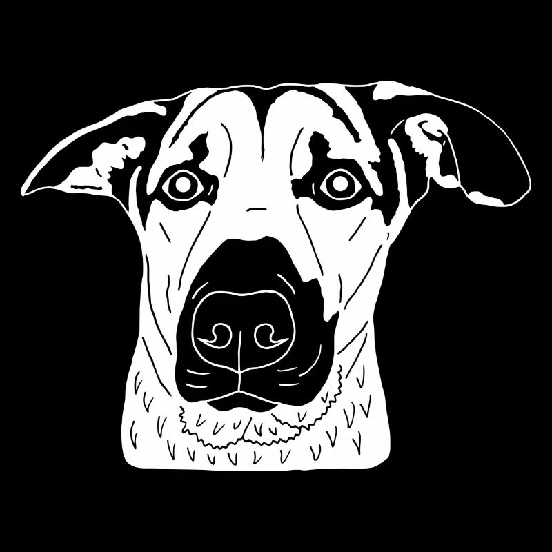 Schäferhundmischling