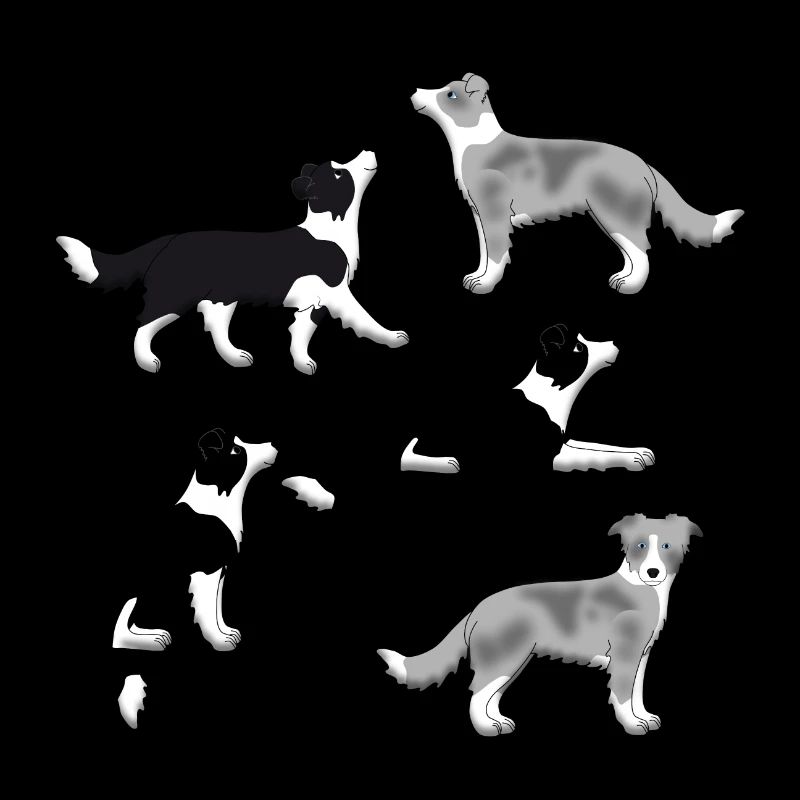 Border Collie selection