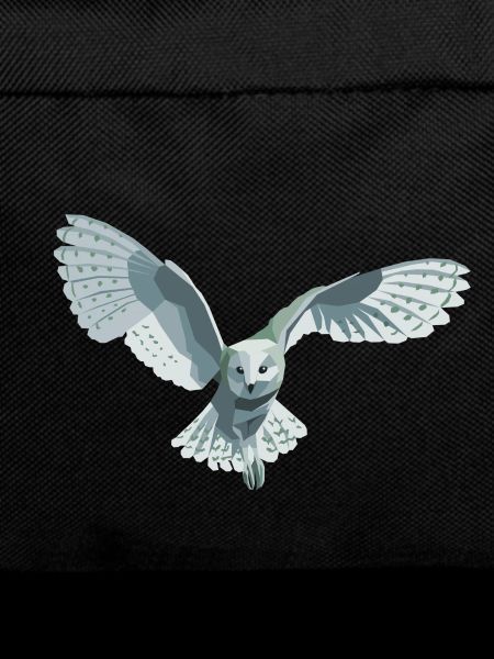 barn owl