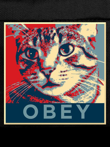 Obey the Cat!