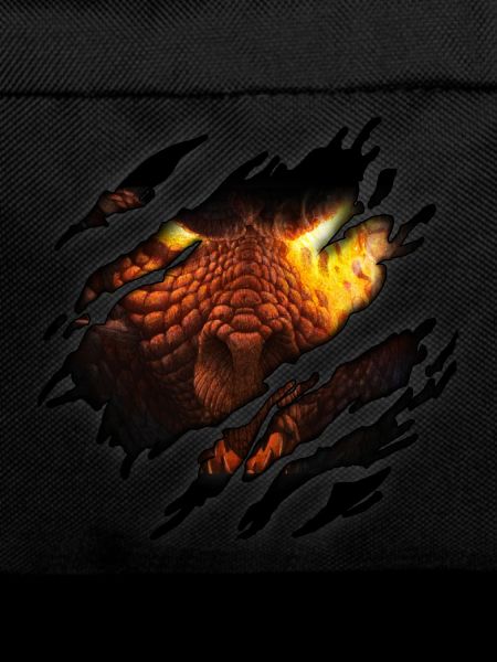 Dragon in me