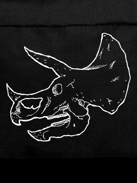 Dinosaur Skeleton - Triceratops Skull