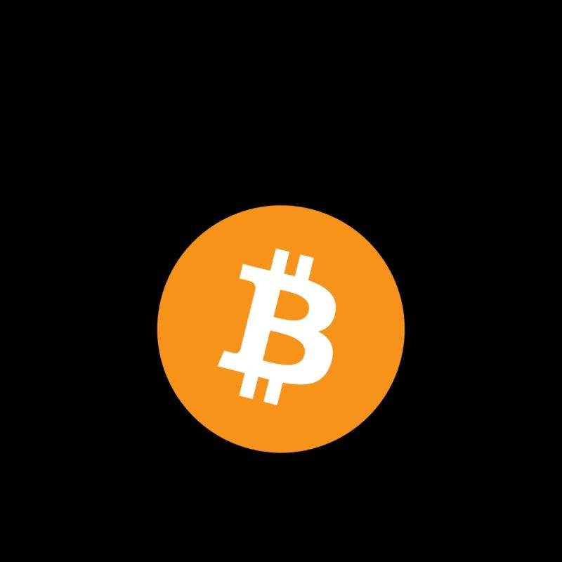 I accept Bitcoins (schwarze Schrift)