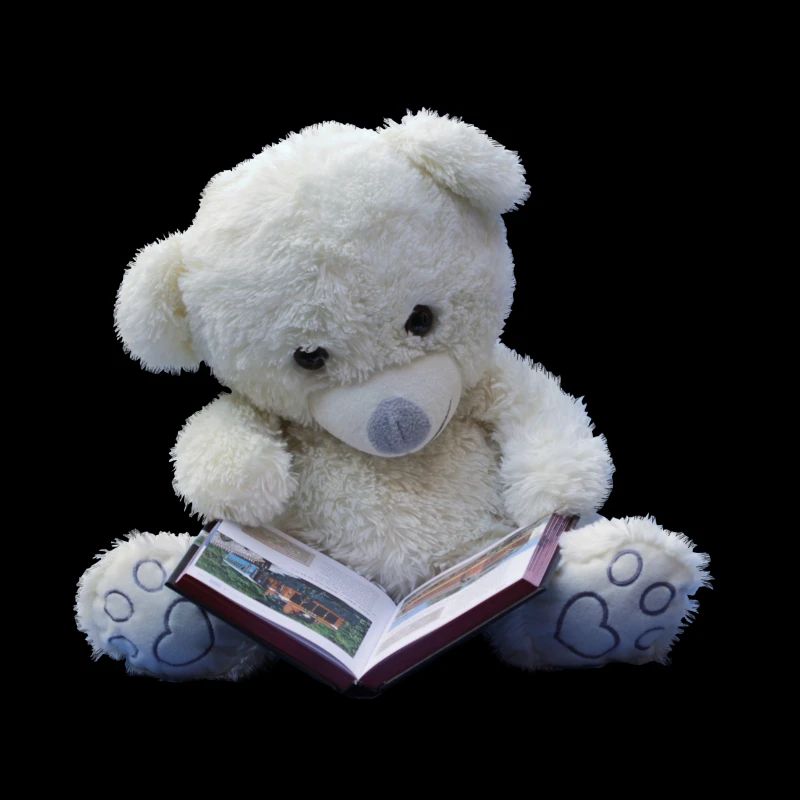 Teddy