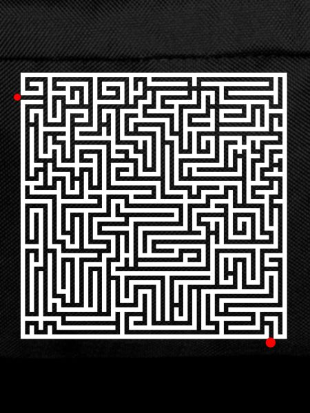 Maze puzzle