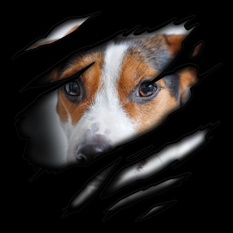 Jack Russel Terrier in me