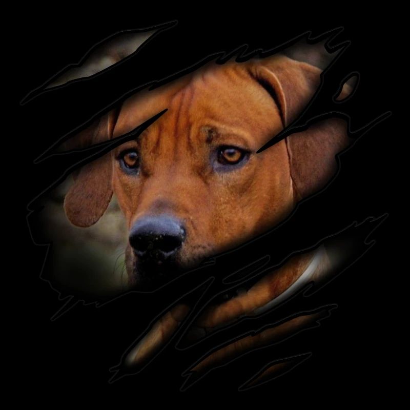 Rhodesian Ridgeback in me