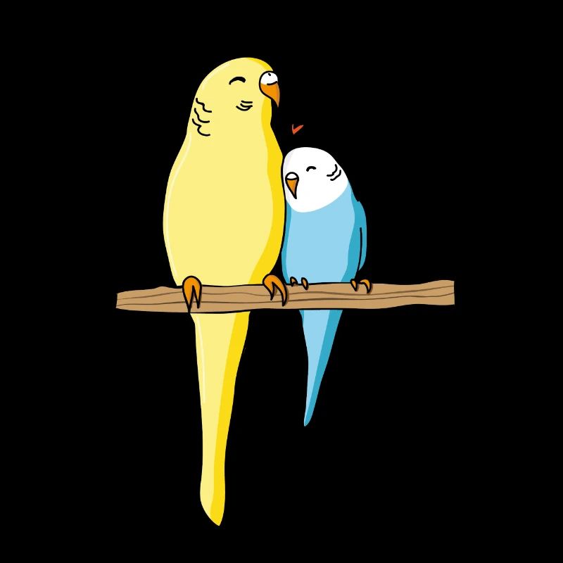 Wellensittich Vogel Sittich singen Geschenk