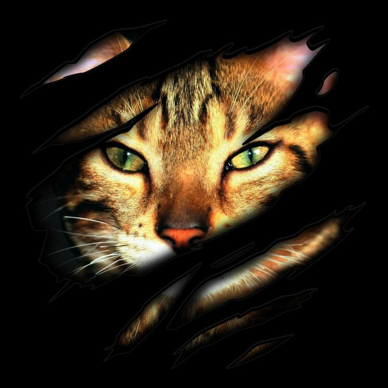 Bengal cat in me