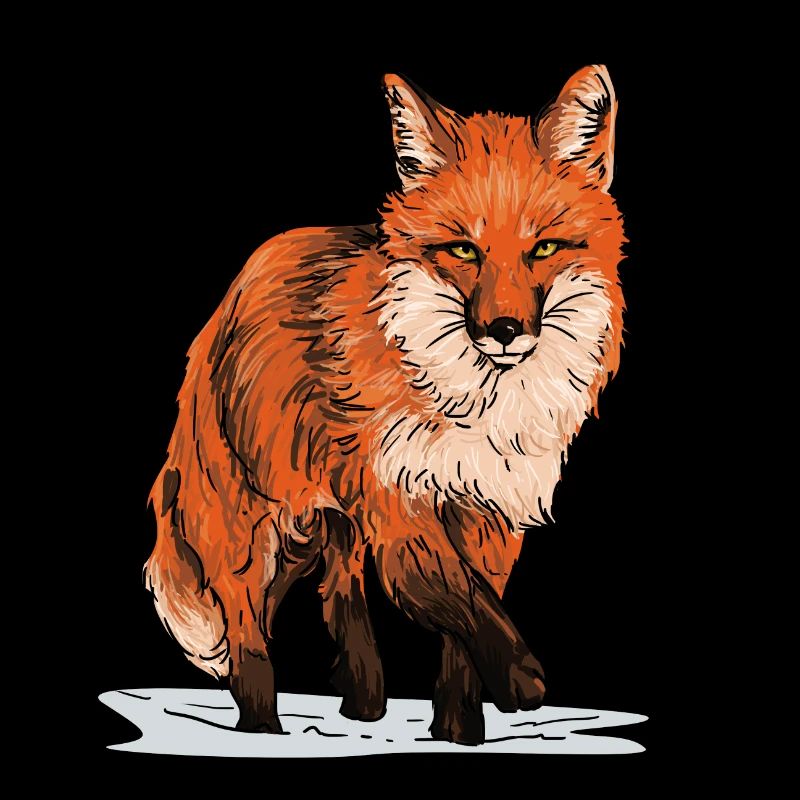 Renard dans la nature
