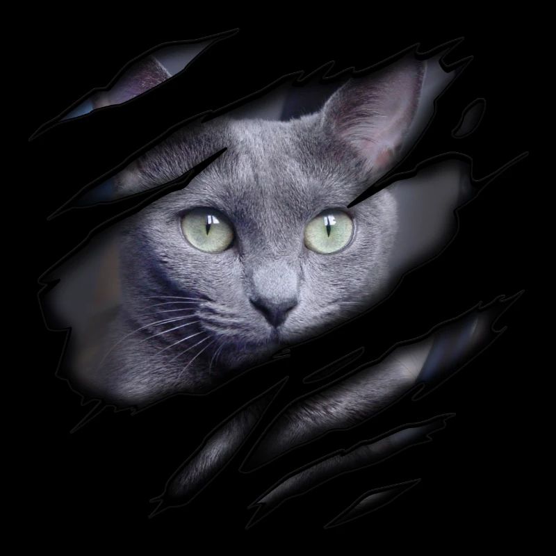 Russian blue in me