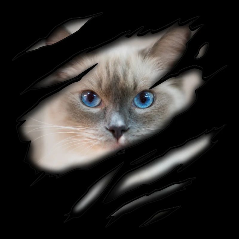 Ragdoll in mir